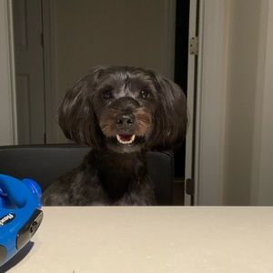 Meet your Posher, Brandon